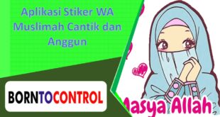 Aplikasi Stiker WA Muslimah Cantik dan Anggun